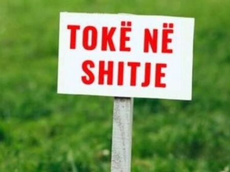 Shitet toke ne Peze Helmes 1500 m2 buze rruge