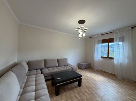 IRFAN TOMINI, MBRAPA PALLATIT ME SHIGJETA – SHESIM APARTAMENT 1+1