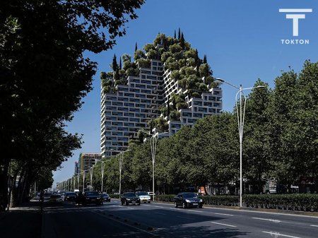 SHITET, APARTAMENT 1+1, LION RESIDNECE 2, RR "DRITAN HOXHA", TIRANË