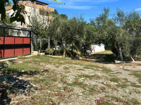 SHITET TOKË ME PEMËTORE – ROMANAT, DURRËS