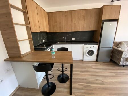 Rent, 2 Apartments 1+1 + Studios, Dibra Street, Tirana Empire74569