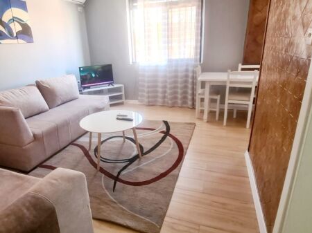 Apartment 1+1 for rent