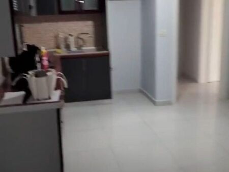 Affitto | Apartament 2 + 1 | 21 Dhjetori | 500 €/mese