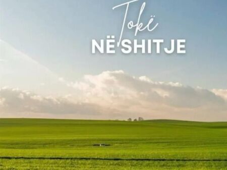 SHITET TOKE NE TAPIZE- DRITAS 10.500 M2