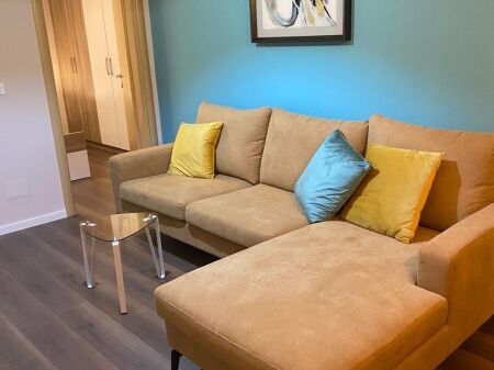 Apartament Me Qera 1+1 tek Kompleksi Delijorgji (ID B210882) Tirane.