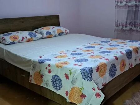 Apartament 1+1📍Ali Demi