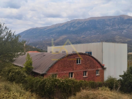 VENDESI FABBRICA MEDICALE FUNZIONALE – TEPELENË
