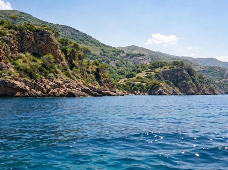 🌿 LAND FOR SALE IN QEPARO – INVESTMENT OPPORTUNITY 📍📐Area: 619 m²