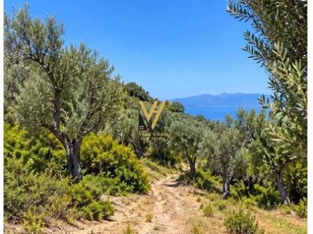 SHITET TOKE 1.500 M2 NE PIQERAS, SARANDE 100.000 EURO