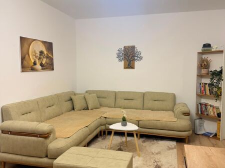 For rent 1+1 until May 15