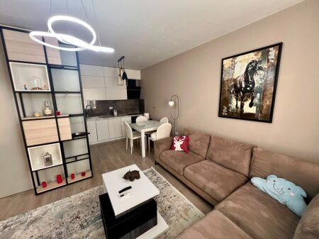 Apartment 1+1 for rent at Rezidenca Siri, Siri Kodra Street, Former Train Station! 550 thousand lek!