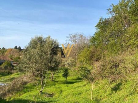 SHITET TOKE 1.300 M2 NE PASKUQAN 273.000 EURO