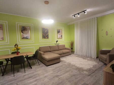 APARTMENT FOR RENT 1+1 SAUK 60,000 LEKE FH-95920