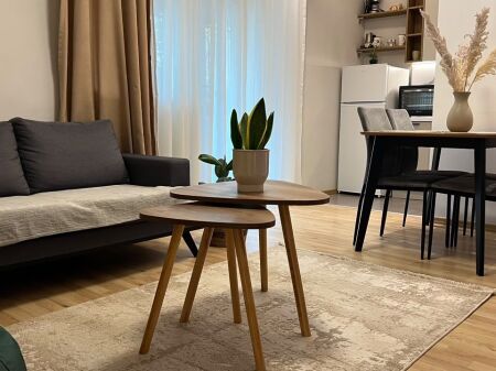 Jepet apartament 2+1 me qira tek Plaza , Qender , Sheshi Skenderbej , 9-Katshet .