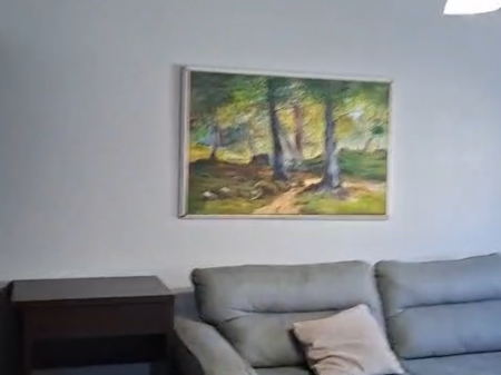 Apartament 1+1 per qera Rruga e Elbasanit !
