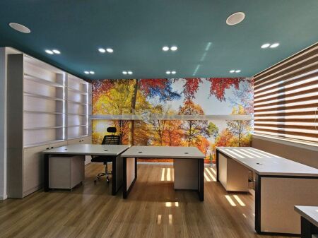 Apartment 1+1 for rent for office/business