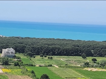 TOKË PËR SHITJE – GJIRI I LALZIT