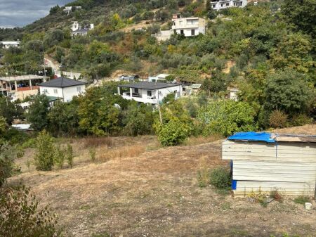 SHITET TOKË NË LANABREGAS – TIRANË