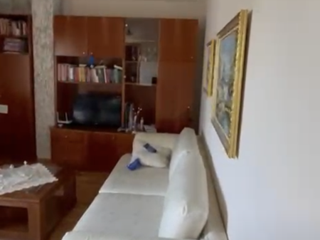 1+1, 5° piano senza ascensore, zoo, 500 mila lek