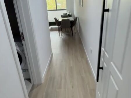 Apartment 2+1 for rent at Dollari