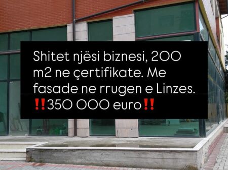 Shitet njesi biznesi tek Rruga e Linzes , Fresku .