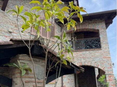 🏡 VILË LUKSOZE NË SHITJE,  PUNIME GURI, ARTIZANALE – QENDËR, NDROQ 🏡 78,000,000 Lekë