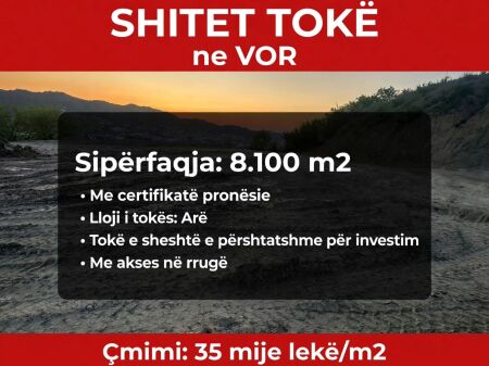 Shitet toke are ne Vore .