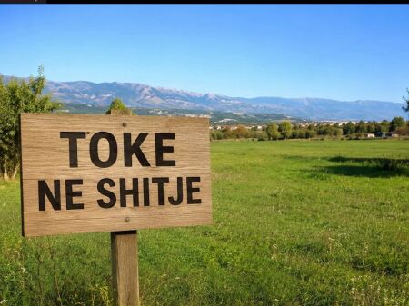 Shitet toke