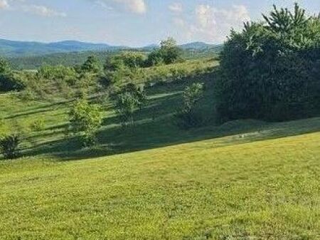  SHITET TOKË | FARKË, TIRANË 