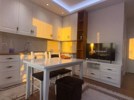 Rent,Apartment 2+1+balcony,Sauk,650 Euro/Month