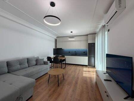 Apartment 1+1 for rent at Vasil Shanto.