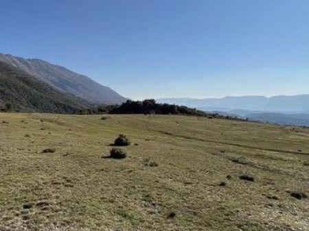  SHITET TOKË 3,700 m² | SURREL, TIRANË 