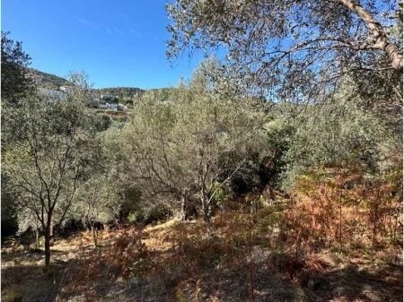 Në shitje 770 dhe 1000 m² tokë, në Rrugën e Garunjës, Liqeni i Thatë