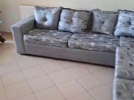 2+1+2 apartment for rent