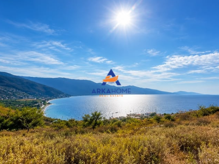 SHITET TOKE 460 M2 "NE QEPARO" 10.200.000 LEKE