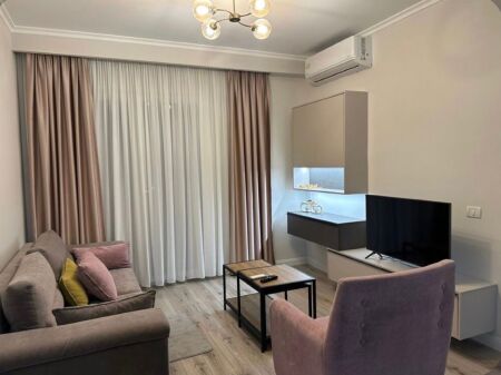 1+1 for rent teg