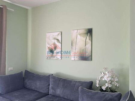 1+1 apartment for rent, Tirana Center