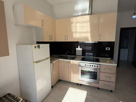 House for rent 1+1