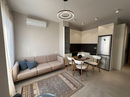 Appartamento 1+1 in affitto , Via Karl Gega , Tirana