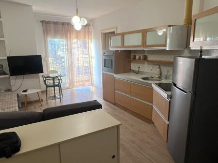 1+1 apartment for rent in Komuna e Parisit ID 5812