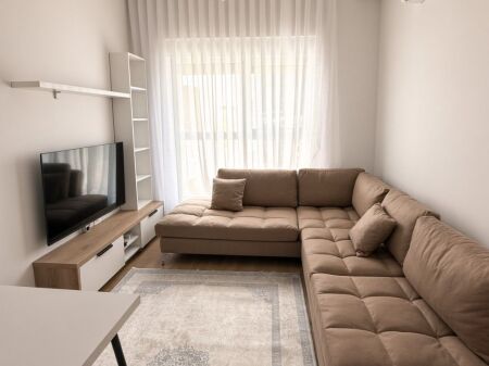 1+1 apartment for rent