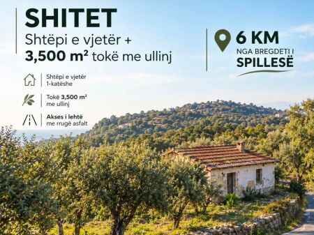  SHITET SHTËPI E VJETËR ME 3500  TOKË me  ULLINJ – 6 km nga bregdeti Spillese