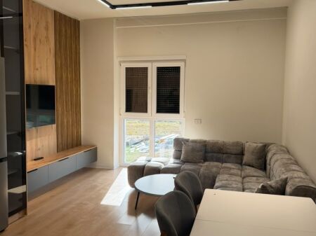 Jepet me qira 1+1 Porta Tirane e Re Sauk 600€