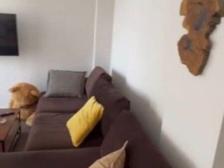 2+1+2 APARTMENT FOR RENT – ZOOLOGICAL GARDEN
