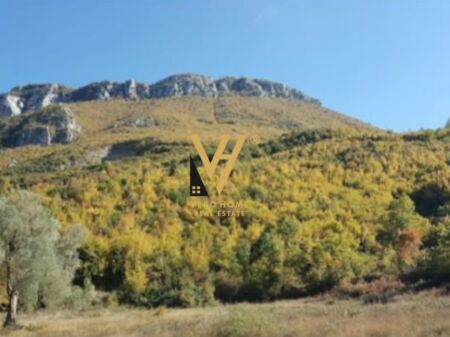 600 m² LAND FOR SALE IN PELLUMBAS, TIRANA 4,000,000 LEKE