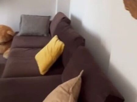 🏡 JEPET ME QIRA APARTAMENT 2+1+2 – KOPSHTI ZOOLOGJIK