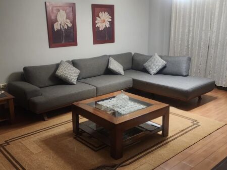 2+1 apartment for rent near the Lyceum!