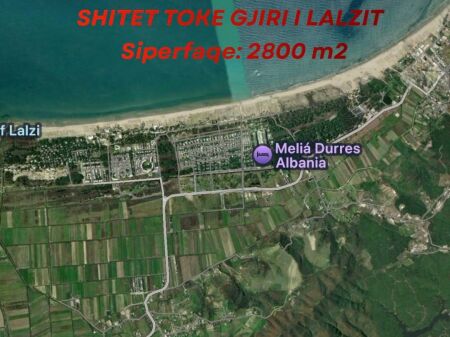 Shitet Toke rruge kryesore Gjiri i Lalzit
