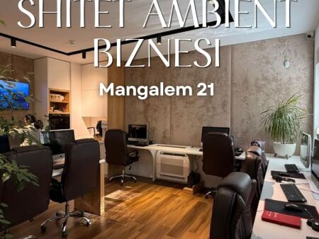 SHITET AMBIENT BIZNESI