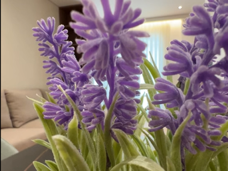 Apartment for sale 1+1 | Dry Lake